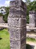 yuc112-sm.jpg